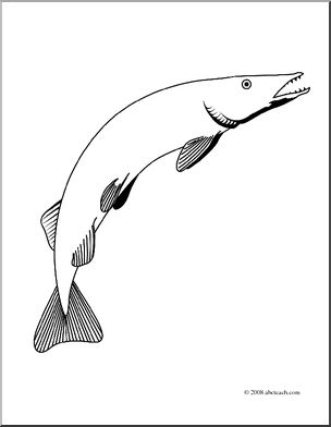 Clip Art: Freshwater Fish: Pike (coloring page)