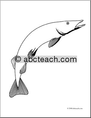 Clip Art: Freshwater Fish: Pike (coloring page)