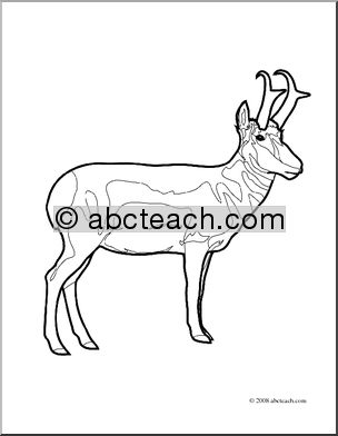 Clip Art: Pronghorn (coloring page)
