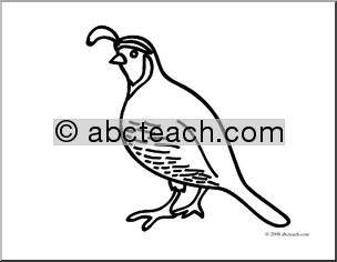 Clip Art: Basic Words: Quail (coloring page)