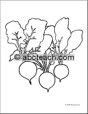 Clip Art: Radishes (coloring page)