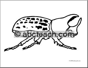 Clip Art: Insects: Rhinoceros Beetle (coloring page)