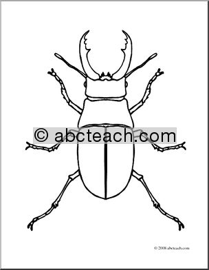Clip Art: Insects: Stag Beetle (coloring page)