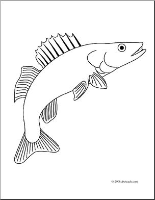 Clip Art: Freshwater Fish: Walleye (coloring page)