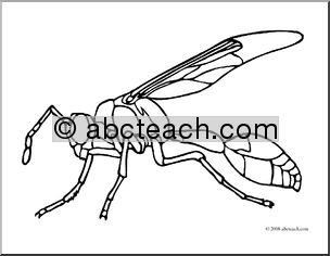 Clip Art: Insects: Wasp (coloring page)