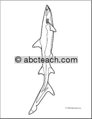 Clip Art: Sharks: White Tip Reef Shark (coloring page)