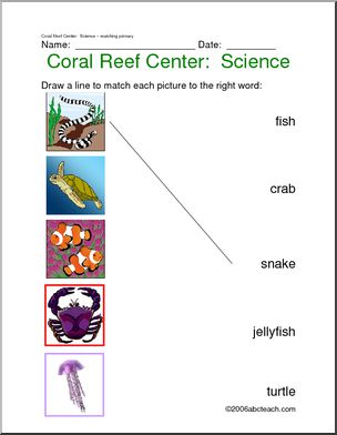 Learning Center: Coral Reef – Science- Animals (primary/elem)