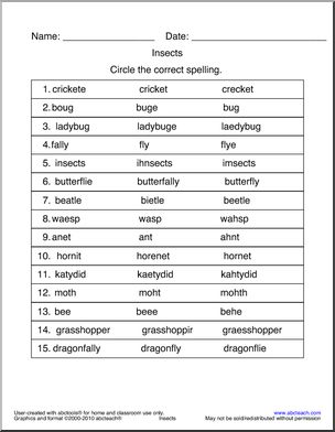 Circle and Spell: Insects 2 (primary/elementary)