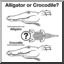 Clip Art: Alligator or Crocodile? 1 (coloring page)