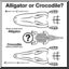 Clip Art: Alligator or Crocodile? 2 (coloring page)