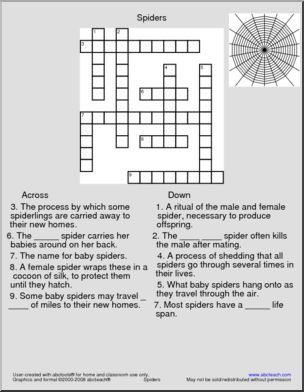 Crossword: Spiders