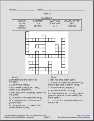 Crossword: Insects (with word bank)