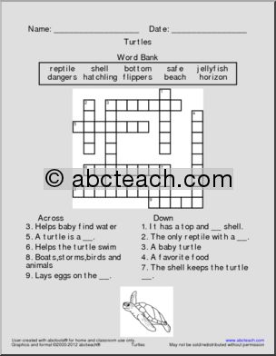 Crossword: Turtle or Tortoise (primary)