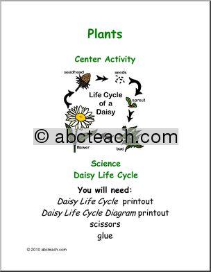 Learning Center: Life Cycle of a Daisy (color) (elem)