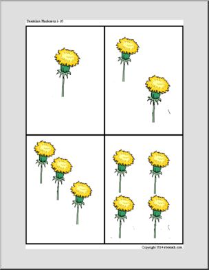 Dandelions 1-10 (images only) Flashcards