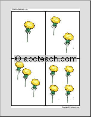 Dandelions 1-10 (images only) Flashcards