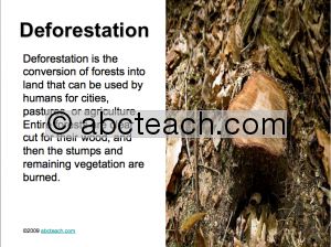 PowerPoint Presentation: Deforestation (upper elem/middle)
