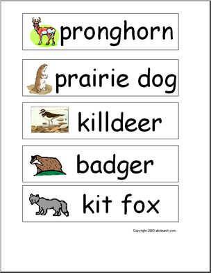Slide Image