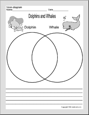 Venn Diagram: Dolphin and Whale