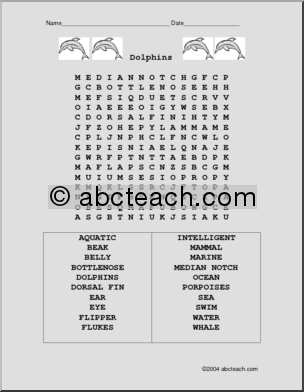 Word Search: Dolphins
