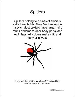 Drawing: Spiders! (primary/elem)