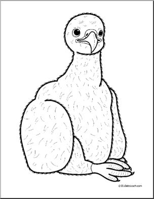 Clip Art: Baby Animals: Eagle Eaglet (coloring page)