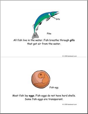 Early Reader: Fish (color)