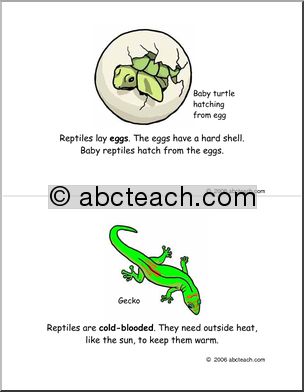 Early Reader: Reptiles (color)