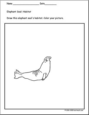 Coloring Page: Seals (elephant seal habitat)