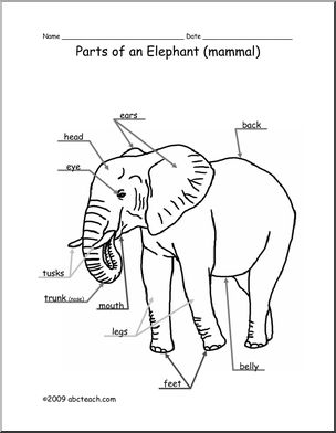 Animal Diagram: Elephant (labeled and unlabeled) – Abcteach