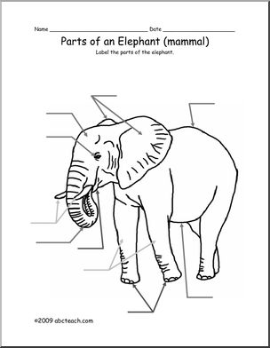 Animal Diagram: Elephant (labeled and unlabeled) – Abcteach