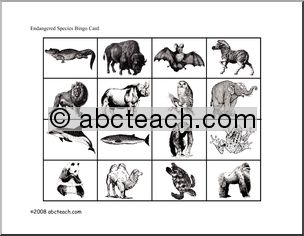 Bingo Cards: Endangered Animals (elem/upper elem)
