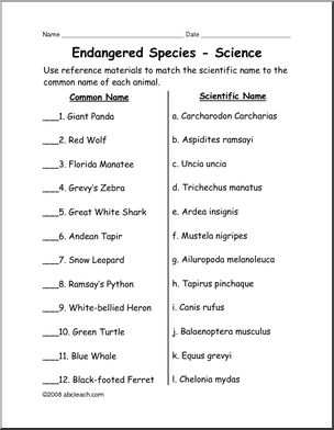 Worksheet: Endangered Animals' Scientific Names (upper elem) – Abcteach