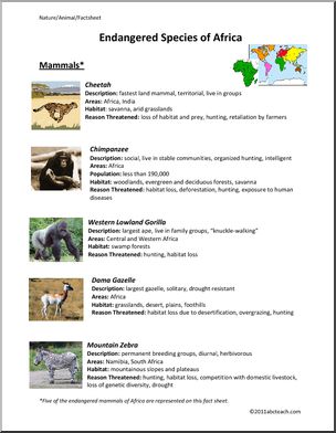 Fact Sheet: Endangered Mammals of Africa (elem/upper elem/middle)