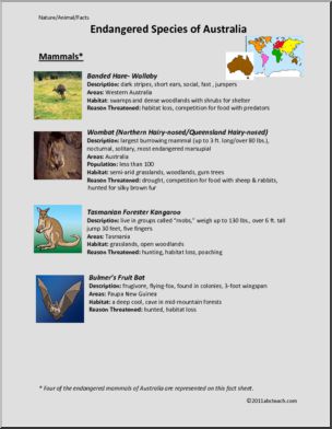 Fact Sheet: Endangered Mammals of Australia (upper elem/middle)