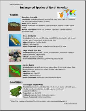 Fact Sheet: Endangered Amphibians and Reptiles of North America (upper elem/middle)