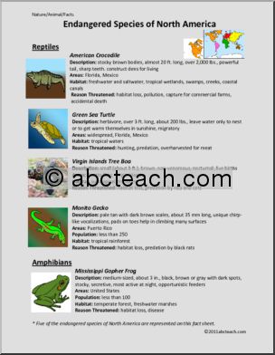 Fact Sheet: Endangered Amphibians and Reptiles of North America (upper elem/middle)