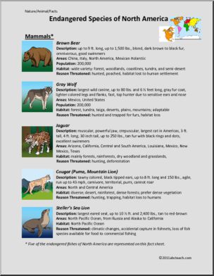 Fact Sheet: Endangered Mammals of North America (elem/upper elem/middle)