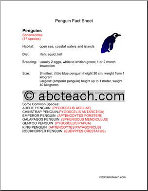 Fact Sheet: Penguins