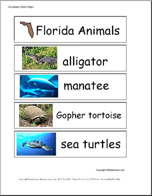 Word Wall: Florida Animals (pictures)