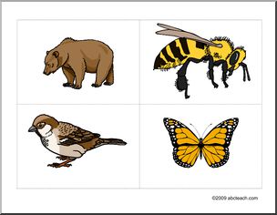 Flashcards: Animals–bear, bee, bird, butterfly  (ESL)