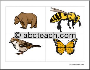 Flashcards: Animals–bear, bee, bird, butterfly  (ESL)