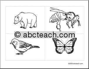 Flashcards: Animals–bear, bee, bird, butterfly (ESL)