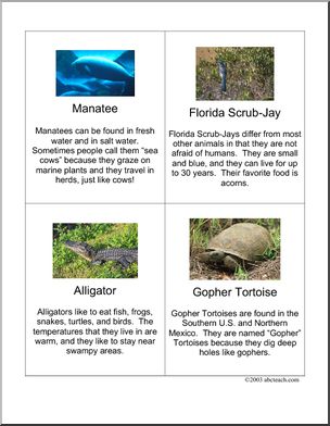 Fact Cards: Florida Animals