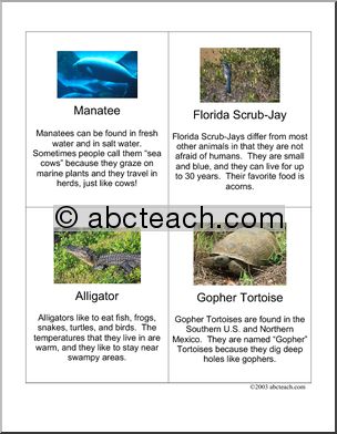 Fact Cards: Florida Animals