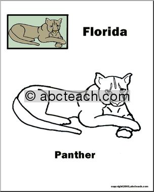 Florida: State Animal  – Panther