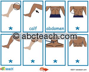 Interactive: Notebook: ESL: Flashcards: Body Parts–with audio