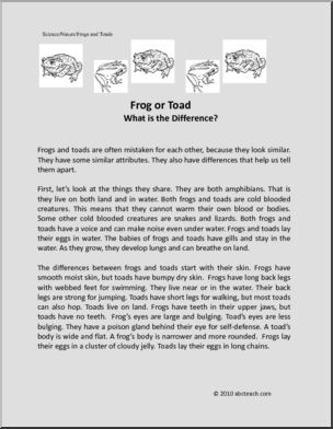 Fact: Frog or Toad; What is the Difference (elem)