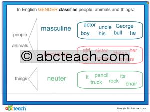 Interactive: Notebook: Grammar: Gender (Explanation)