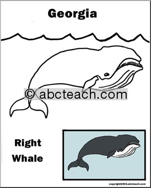 Georgia: State Animal  – Right Whale